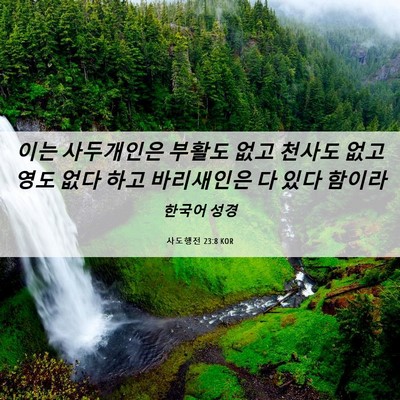 Picture 06 - 사도행전 23:8 KOR - 이는 사두개인은 부활도 없고 천사도 - Bible Verse Picture