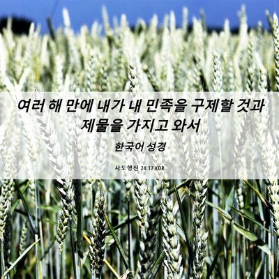 Picture 06 - 사도행전 24:17 KOR - 여러 해 만에 내가 내 민족을 구제할 - Bible Verse Picture
