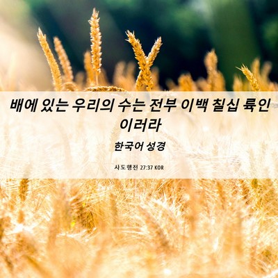 Picture 06 - 사도행전 27:37 KOR - 배에 있는 우리의 수는 전부 이백 - Bible Verse Picture