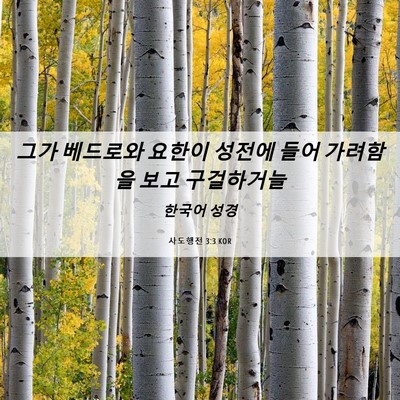 Picture 06 - 사도행전 3:3 KOR - 그가 베드로와 요한이 성전에 들어 - Bible Verse Picture