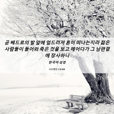 Picture 06 - 사도행전 5:10 KOR - 곧 베드로의 발 앞에 엎드러져 혼이 - Bible Verse Picture