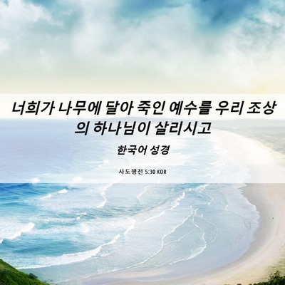 Picture 06 - 사도행전 5:30 KOR - 너희가 나무에 달아 죽인 예수를 - Bible Verse Picture