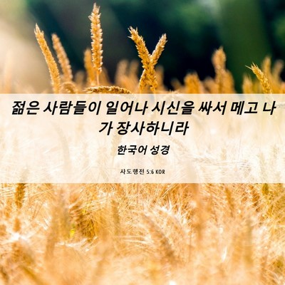 Picture 06 - 사도행전 5:6 KOR - 젊은 사람들이 일어나 시신을 싸서 - Bible Verse Picture