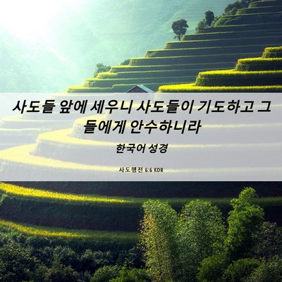 Picture 06 - 사도행전 6:6 KOR - 사도들 앞에 세우니 사도들이 - Bible Verse Picture