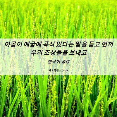 Picture 06 - 사도행전 7:12 KOR - 야곱이 애굽에 곡식 있다는 말을 - Bible Verse Picture