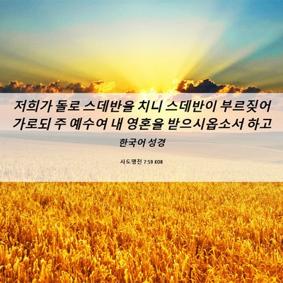 Picture 06 - 사도행전 7:59 KOR - 저희가 돌로 스데반을 치니 스데반이 - Bible Verse Picture
