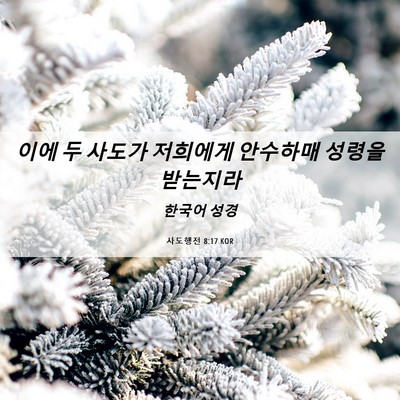 Picture 06 - 사도행전 8:17 KOR - 이에 두 사도가 저희에게 안수하매 - Bible Verse Picture