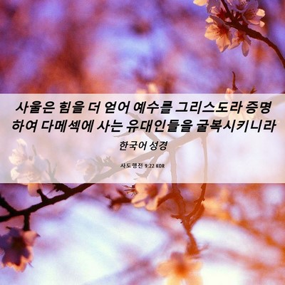 Picture 06 - 사도행전 9:22 KOR - 사울은 힘을 더 얻어 예수를 - Bible Verse Picture