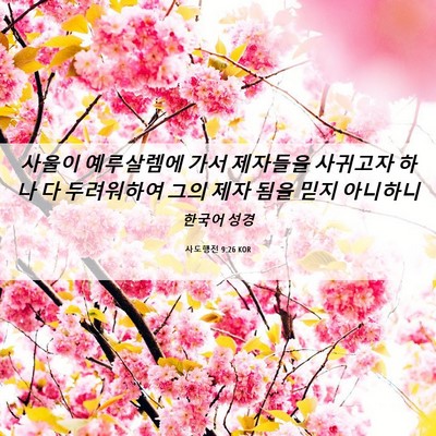 Picture 06 - 사도행전 9:26 KOR - 사울이 예루살렘에 가서 제자들을 - Bible Verse Picture