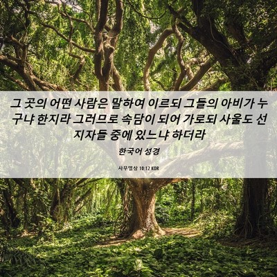 Picture 06 - 사무엘상 10:12 KOR - 그 곳의 어떤 사람은 말하여 이르되 - Bible Verse Picture