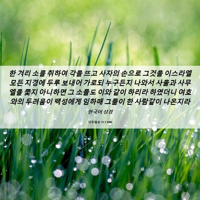 Picture 06 - 사무엘상 11:7 KOR - 한 겨리 소를 취하여 각을 뜨고 - Bible Verse Picture