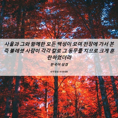 Picture 06 - 사무엘상 14:20 KOR - 사울과 그와 함께한 모든 백성이 - Bible Verse Picture