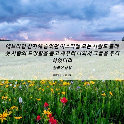 Picture 06 - 사무엘상 14:22 KOR - 에브라임 산지에 숨었던 이스라엘 - Bible Verse Picture