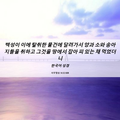 Picture 06 - 사무엘상 14:32 KOR - 백성이 이에 탈취한 물건에 달려가서 - Bible Verse Picture