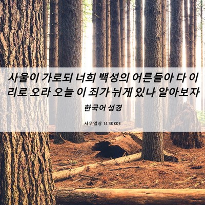 Picture 06 - 사무엘상 14:38 KOR - 사울이 가로되 너희 백성의 어른들아 - Bible Verse Picture