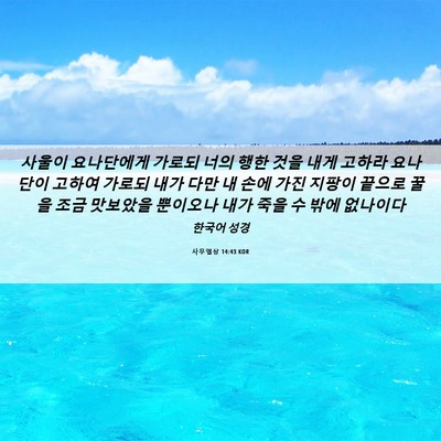 Picture 06 - 사무엘상 14:43 KOR - 사울이 요나단에게 가로되 너의 행한 - Bible Verse Picture