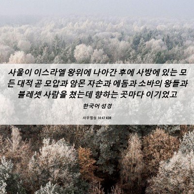 Picture 06 - 사무엘상 14:47 KOR - 사울이 이스라엘 왕위에 나아간 후에 - Bible Verse Picture