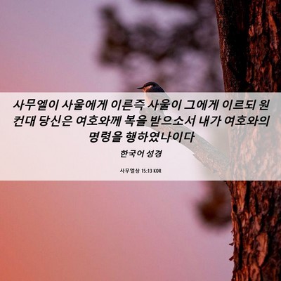 Picture 06 - 사무엘상 15:13 KOR - 사무엘이 사울에게 이른즉 사울이 - Bible Verse Picture
