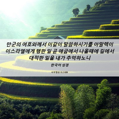 Picture 06 - 사무엘상 15:2 KOR - 만군의 여호와께서 이같이 - Bible Verse Picture