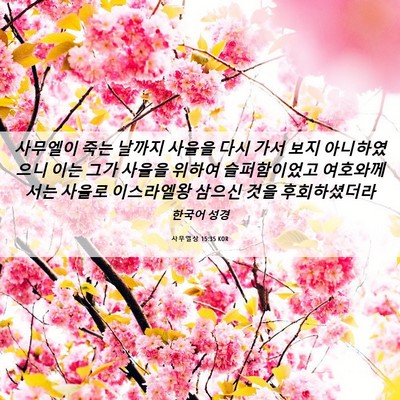 Picture 06 - 사무엘상 15:35 KOR - 사무엘이 죽는 날까지 사울을 다시 - Bible Verse Picture