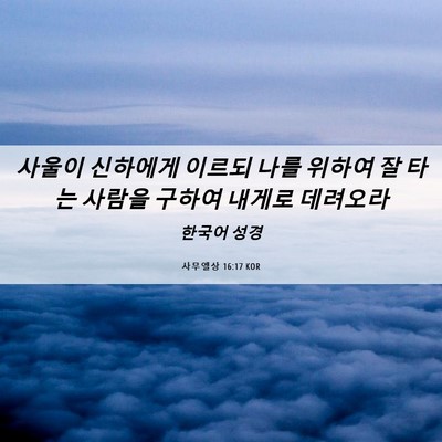 Picture 06 - 사무엘상 16:17 KOR - 사울이 신하에게 이르되 나를 위하여 - Bible Verse Picture