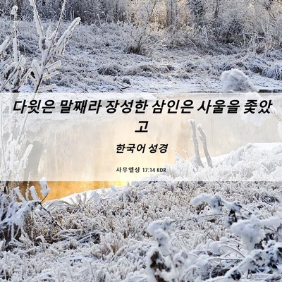 Picture 06 - 사무엘상 17:14 KOR - 다윗은 말째라 장성한 삼인은 사울을 - Bible Verse Picture