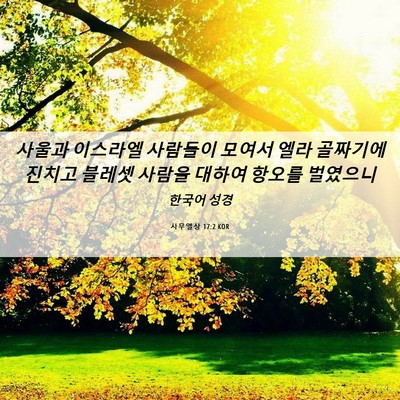 Picture 06 - 사무엘상 17:2 KOR - 사울과 이스라엘 사람들이 모여서 - Bible Verse Picture