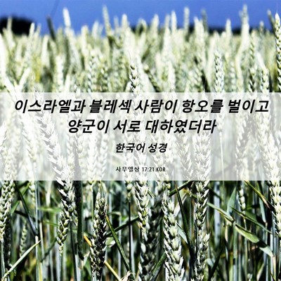 Picture 06 - 사무엘상 17:21 KOR - 이스라엘과 블레섹 사람이 항오를 - Bible Verse Picture