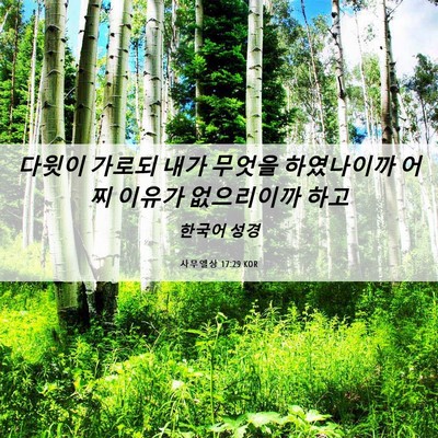 Picture 06 - 사무엘상 17:29 KOR - 다윗이 가로되 내가 무엇을 - Bible Verse Picture