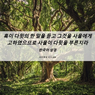Picture 06 - 사무엘상 17:31 KOR - 혹이 다윗의 한 말을 듣고 그것을 - Bible Verse Picture