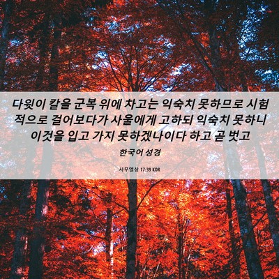 Picture 06 - 사무엘상 17:39 KOR - 다윗이 칼을 군복 위에 차고는 - Bible Verse Picture