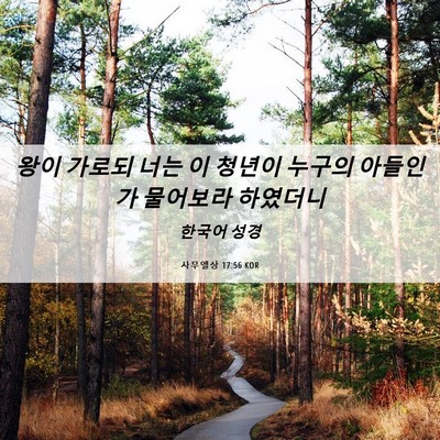 Picture 06 - 사무엘상 17:56 KOR - 왕이 가로되 너는 이 청년이 누구의 - Bible Verse Picture