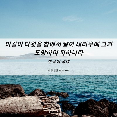 Picture 06 - 사무엘상 19:12 KOR - 미갈이 다윗을 창에서 달아 내리우매 - Bible Verse Picture