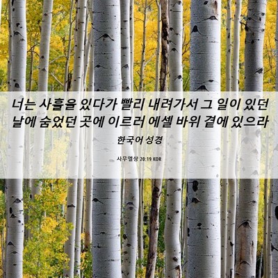 Picture 06 - 사무엘상 20:19 KOR - 너는 사흘을 있다가 빨리 내려가서 - Bible Verse Picture