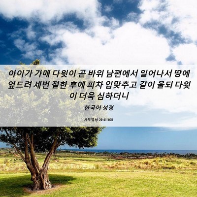 Picture 06 - 사무엘상 20:41 KOR - 아이가 가매 다윗이 곧 바위 - Bible Verse Picture