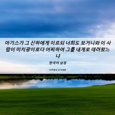 Picture 06 - 사무엘상 21:14 KOR - 아기스가 그 신하에게 이르되 너희도 - Bible Verse Picture
