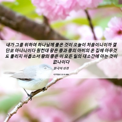 Picture 06 - 사무엘상 22:15 KOR - 내가 그를 위하여 하나님께 물은 - Bible Verse Picture