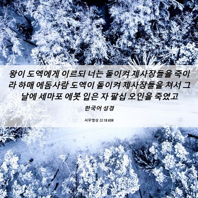 Picture 06 - 사무엘상 22:18 KOR - 왕이 도엑에게 이르되 너는 돌이켜 - Bible Verse Picture