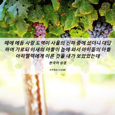 Picture 06 - 사무엘상 22:9 KOR - 때에 에돔 사람 도엑이 사울의 신하 - Bible Verse Picture