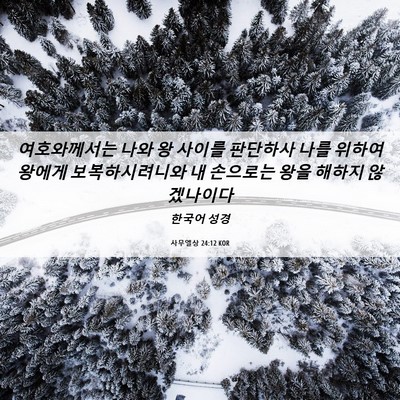 Picture 06 - 사무엘상 24:12 KOR - 여호와께서는 나와 왕 사이를 - Bible Verse Picture