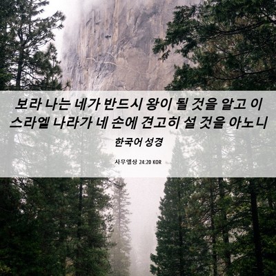 Picture 06 - 사무엘상 24:20 KOR - 보라 나는 네가 반드시 왕이 될 것을 - Bible Verse Picture