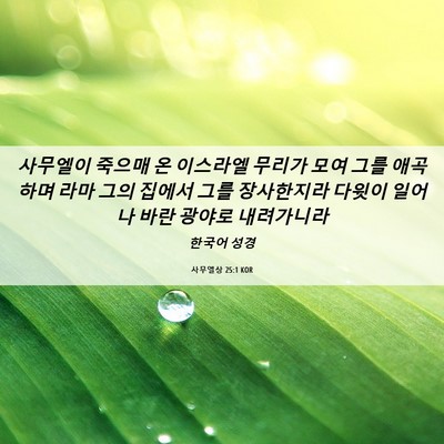 Picture 06 - 사무엘상 25:1 KOR - 사무엘이 죽으매 온 이스라엘 무리가 - Bible Verse Picture