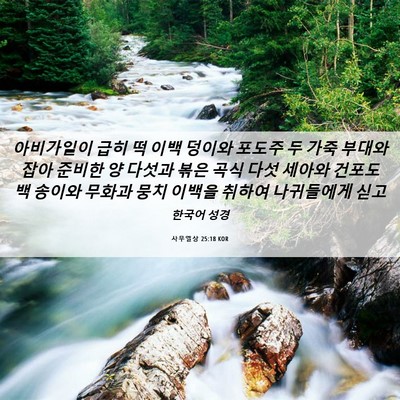 Picture 06 - 사무엘상 25:18 KOR - 아비가일이 급히 떡 이백 덩이와 - Bible Verse Picture