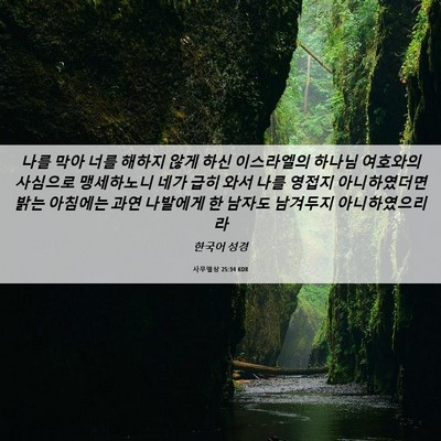 Picture 06 - 사무엘상 25:34 KOR - 나를 막아 너를 해하지 않게 하신 - Bible Verse Picture