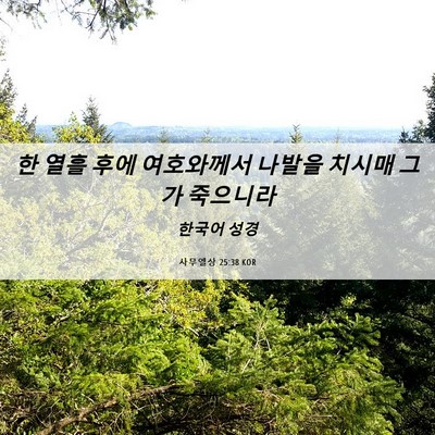 Picture 06 - 사무엘상 25:38 KOR - 한 열흘 후에 여호와께서 나발을 - Bible Verse Picture