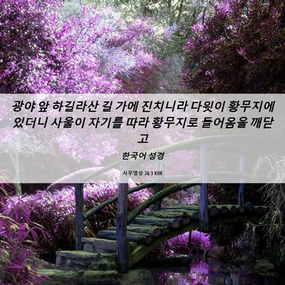 Picture 06 - 사무엘상 26:3 KOR - 광야 앞 하길라산 길 가에 진치니라 - Bible Verse Picture