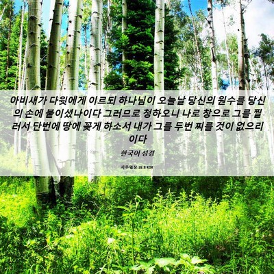 Picture 06 - 사무엘상 26:8 KOR - 아비새가 다윗에게 이르되 하나님이 - Bible Verse Picture