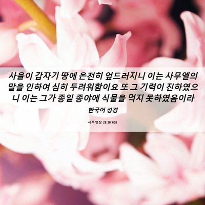 Picture 06 - 사무엘상 28:20 KOR - 사울이 갑자기 땅에 온전히 - Bible Verse Picture