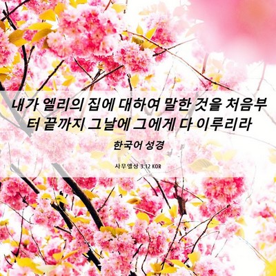 Picture 06 - 사무엘상 3:12 KOR - 내가 엘리의 집에 대하여 말한 것을 - Bible Verse Picture