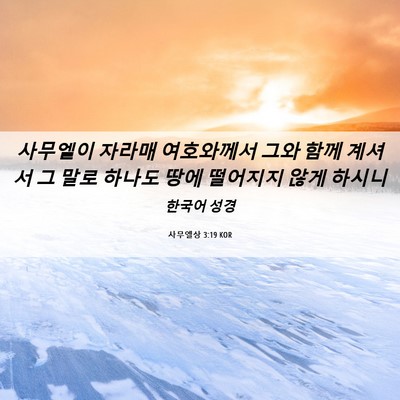 Picture 06 - 사무엘상 3:19 KOR - 사무엘이 자라매 여호와께서 그와 - Bible Verse Picture